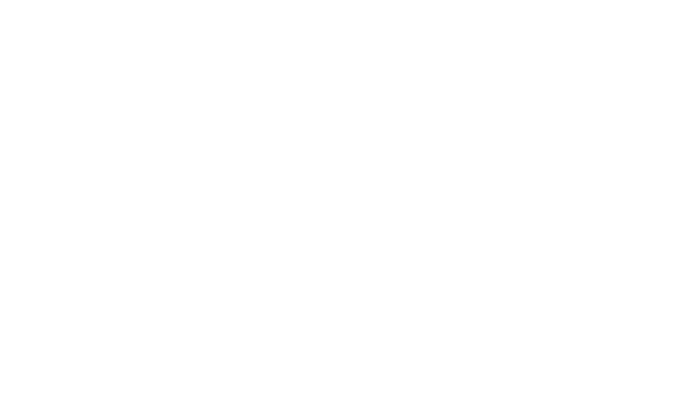 Friesche Stukadoors